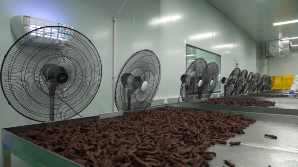 開發區肉牛產品 以“牛”品質征服全國市場